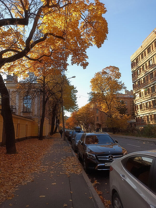 Осень на улицах Санкт Петербурга. - Лилия *