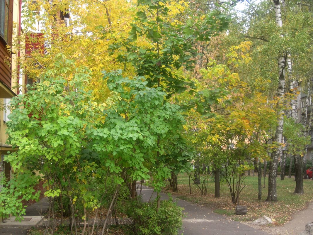 В начале осени - Елена Семигина