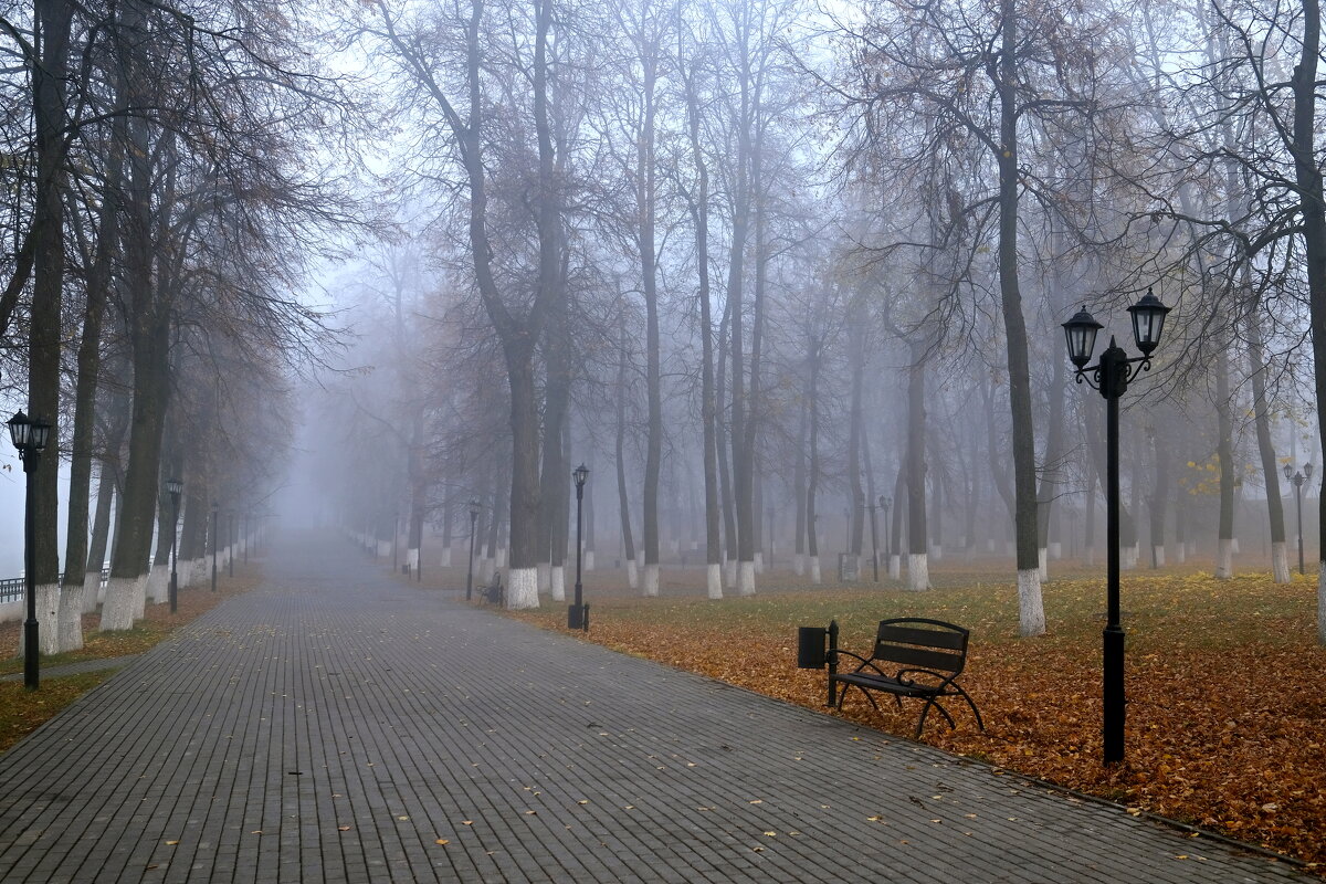 В парке - Андрей Зайцев