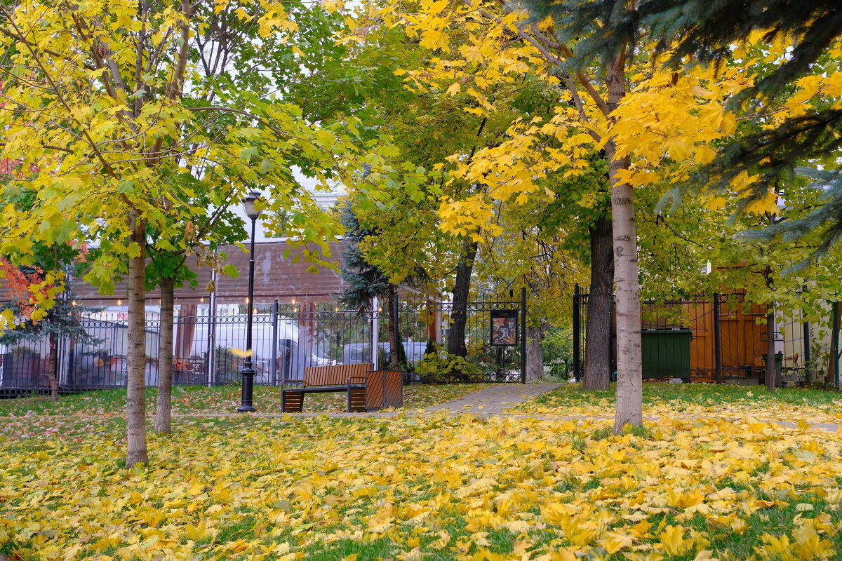 Парк в Петроверигском переулке - Лютый Дровосек