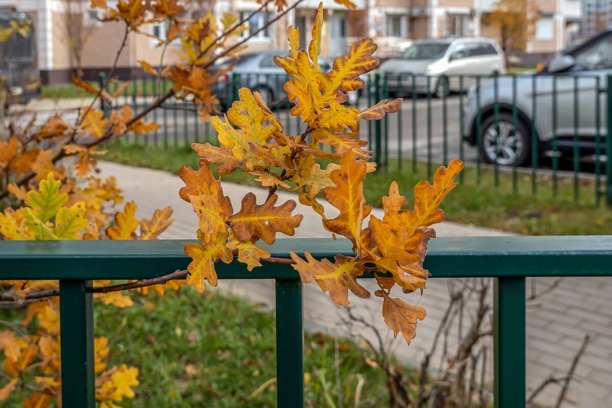 В городе осень - Валерий Иванович