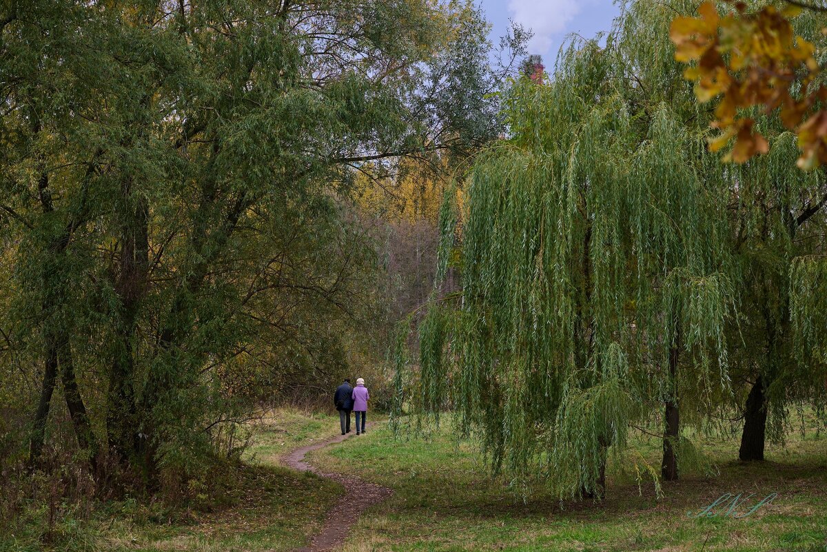 Московская осень - Николай Соколухин