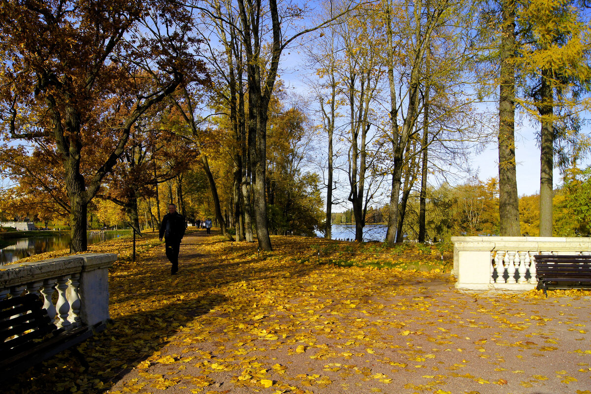 В осеннем парке. - Лариса С.