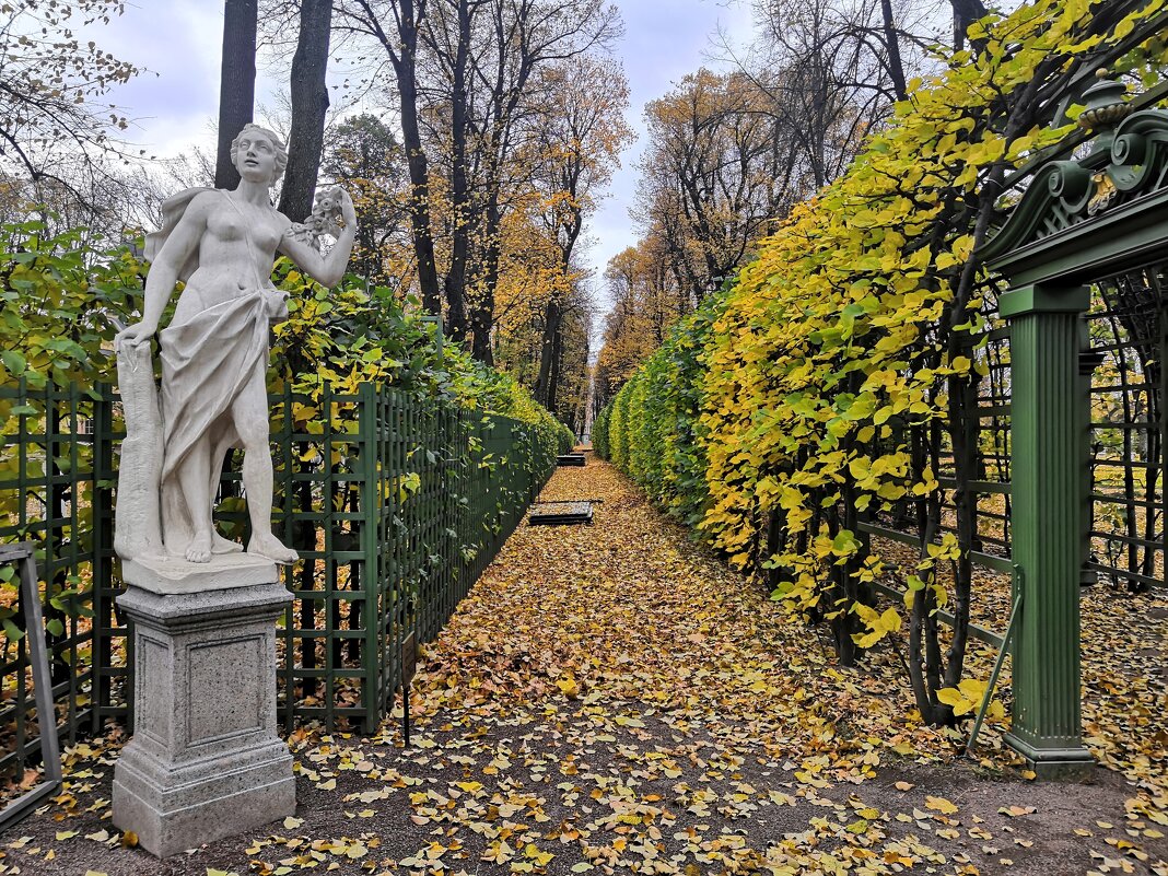 Летний сад . Осень. - Yuriy Rudyy