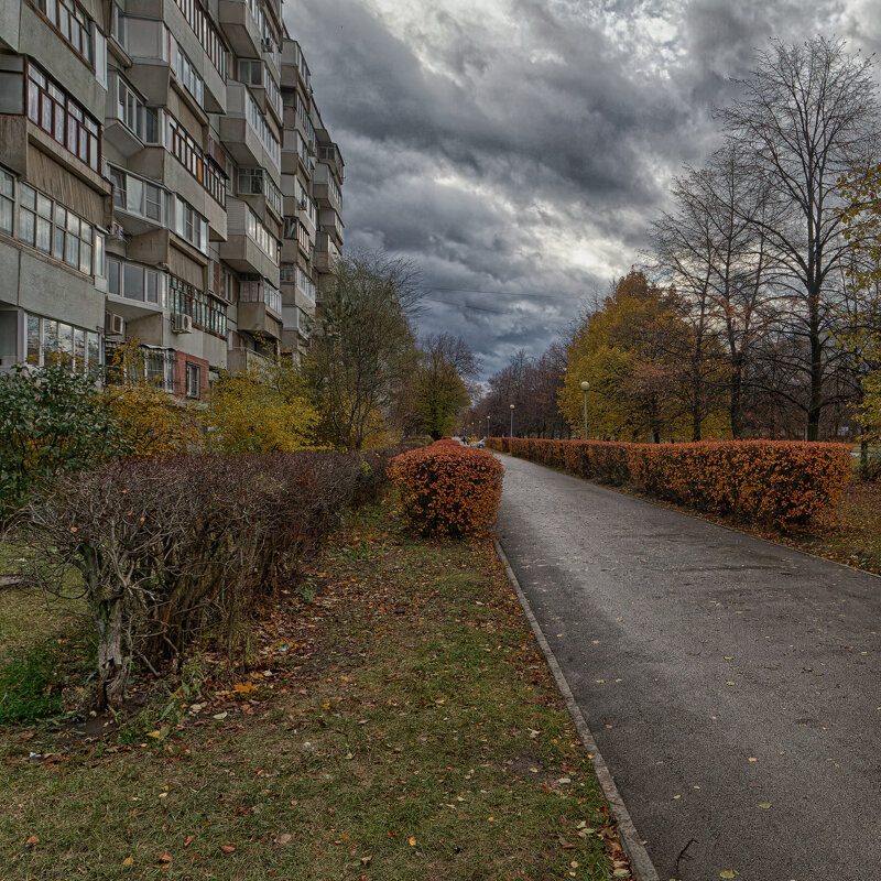 * - Александр Лисовский