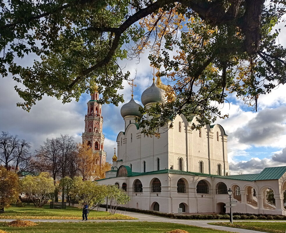 Под сенью - Александр Чеботарь