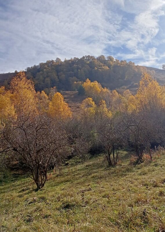 Кавминводы - Нина Бутко