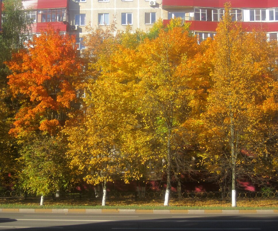 В золотую осень - Елена Семигина