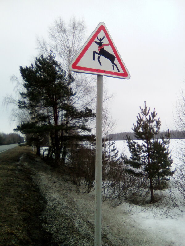 Нижегородский АРТ на дорогах - Светлана Петрова