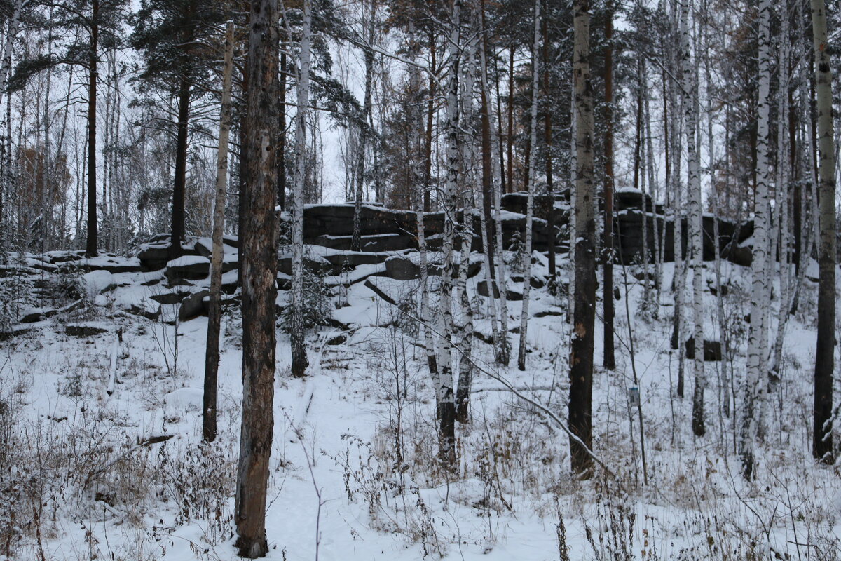 В окрестностях Екатеринбурга - Ольга 