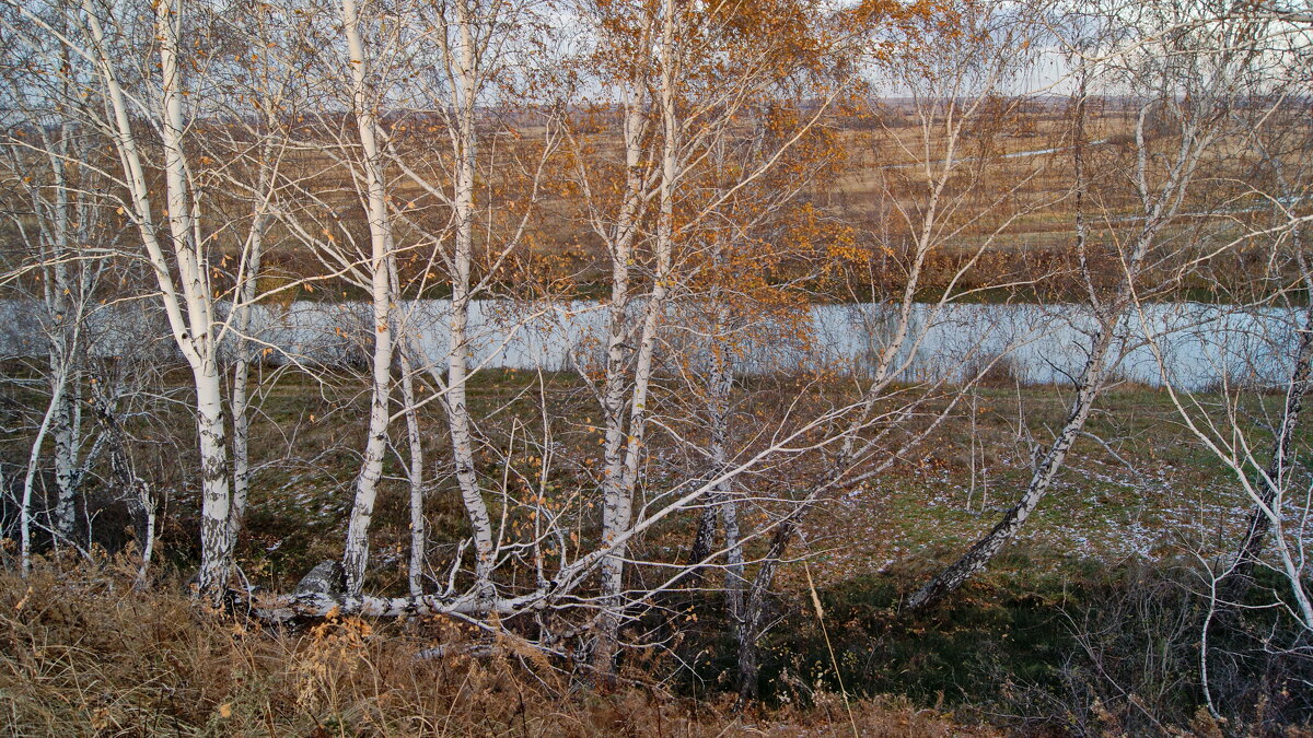 Осеннее. - сергей 