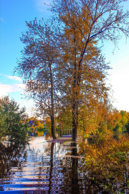 Осень - Сергей Кочнев