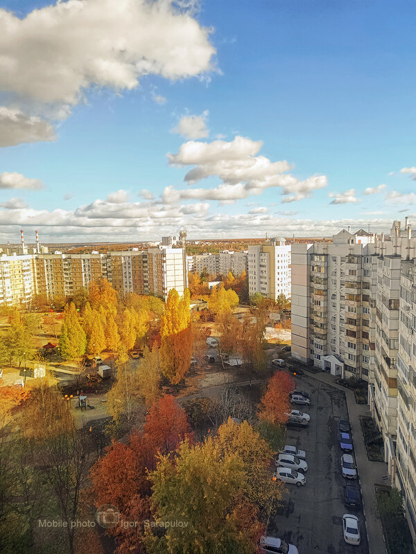 Осенний свет - Игорь Сарапулов