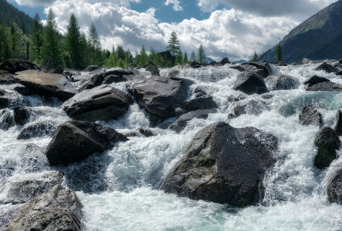 Живая вода - Марина Фомина.