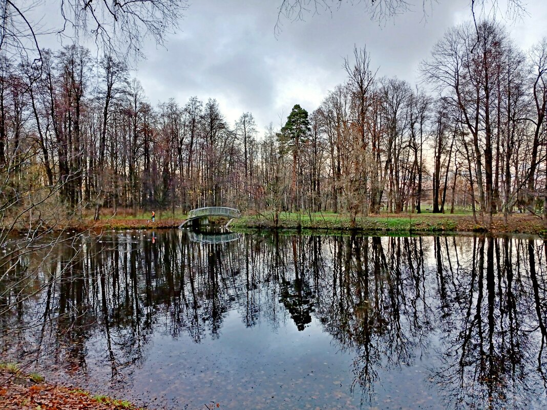 Пруды Санкт-Петербурга. - Лия ☼