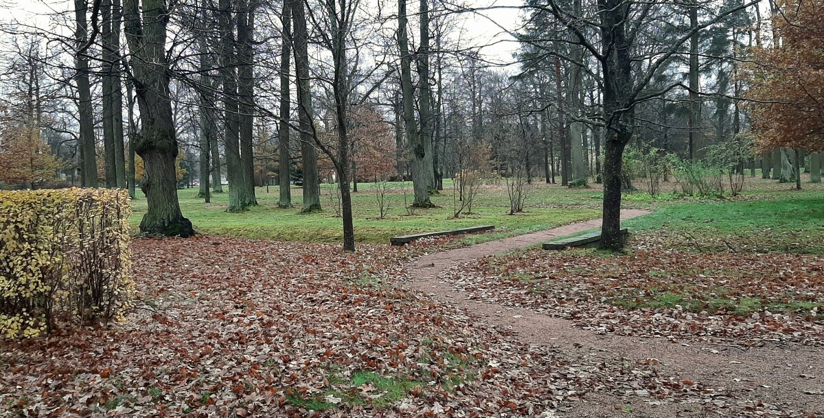 Парк Александрия. Ноябрь - Наталья Герасимова