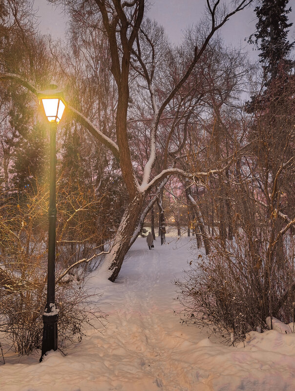 ВЕЧЕРНИЙ ПАРК - ura Зелев