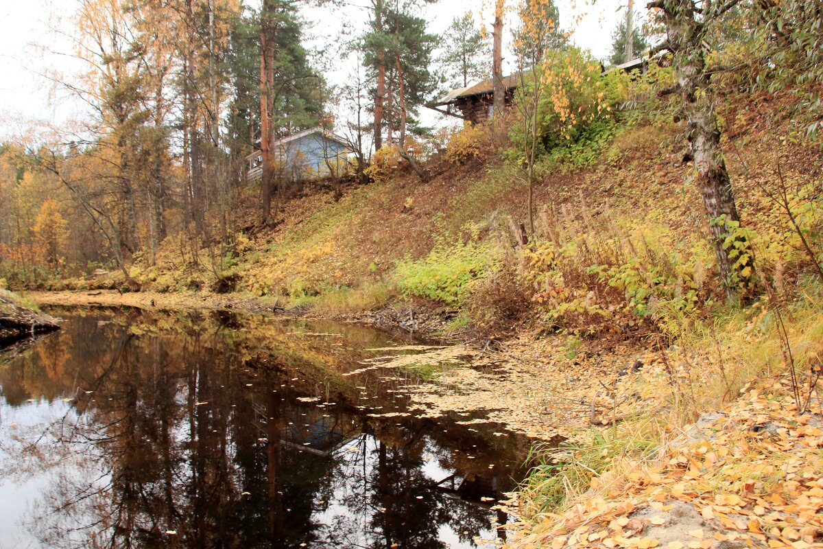 ***)* - Сергей Тарбеев