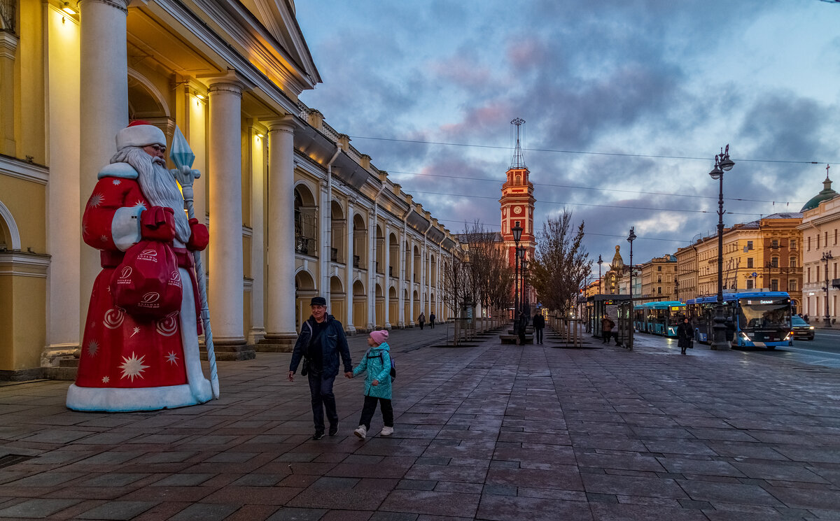 Ноябрь в Санкт-Петербурге 4 - Андрей Дворников