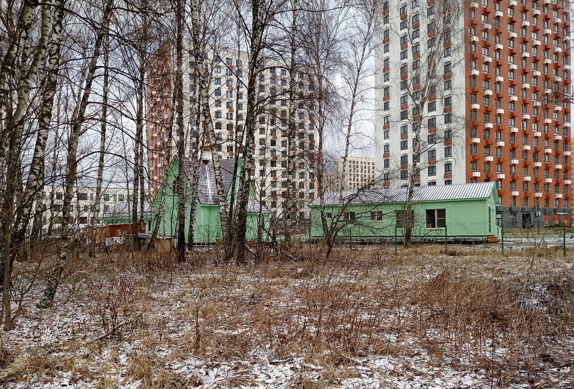 Храм в лесу - Александр Чеботарь