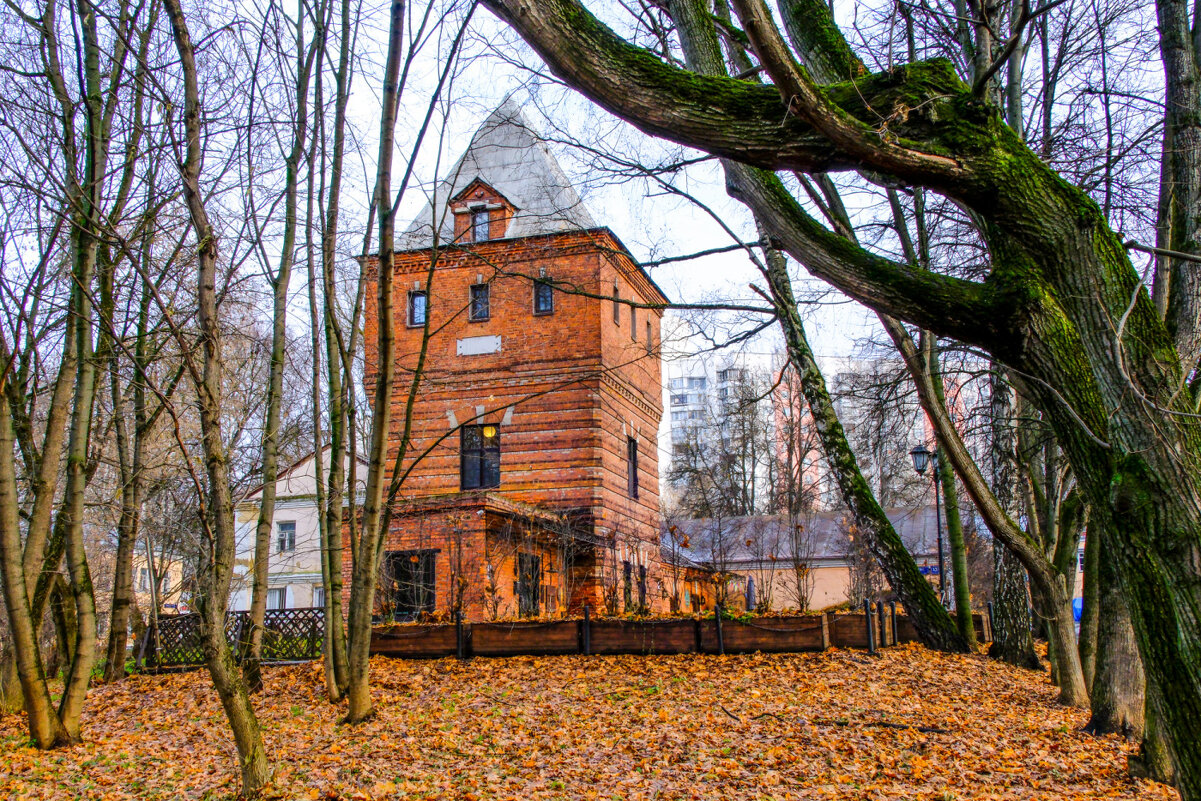 Башня в лесу - Георгий А