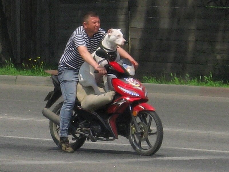 . - Александр Хоменко