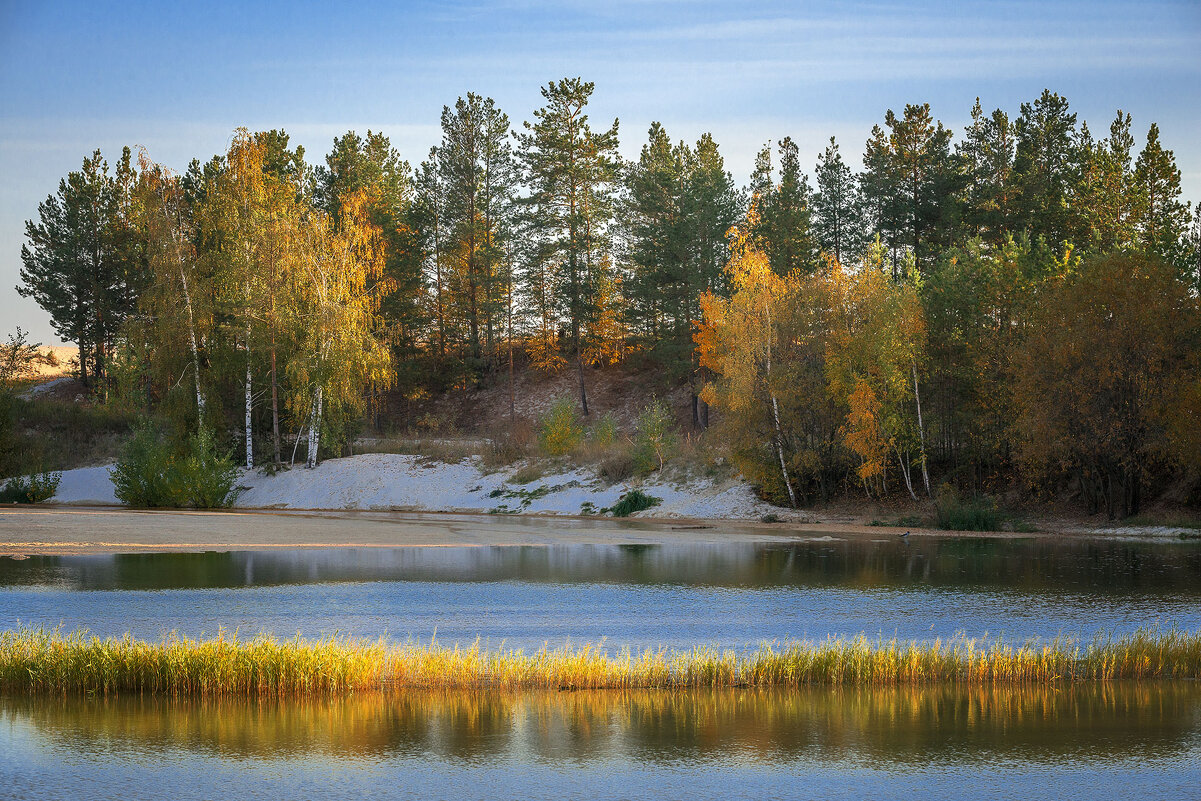 Водоём... - Влад Никишин