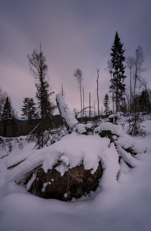 * - Александр Иванов