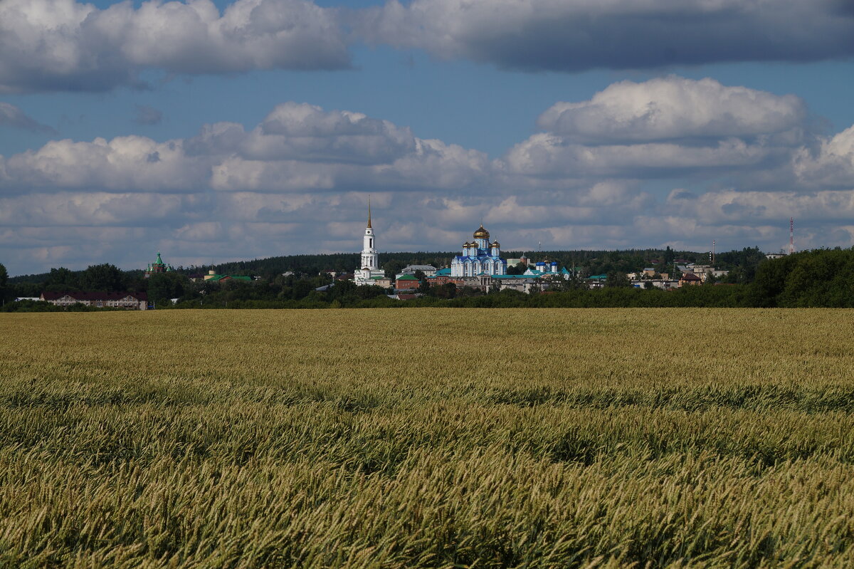 Задонск - Ninell Nikitina