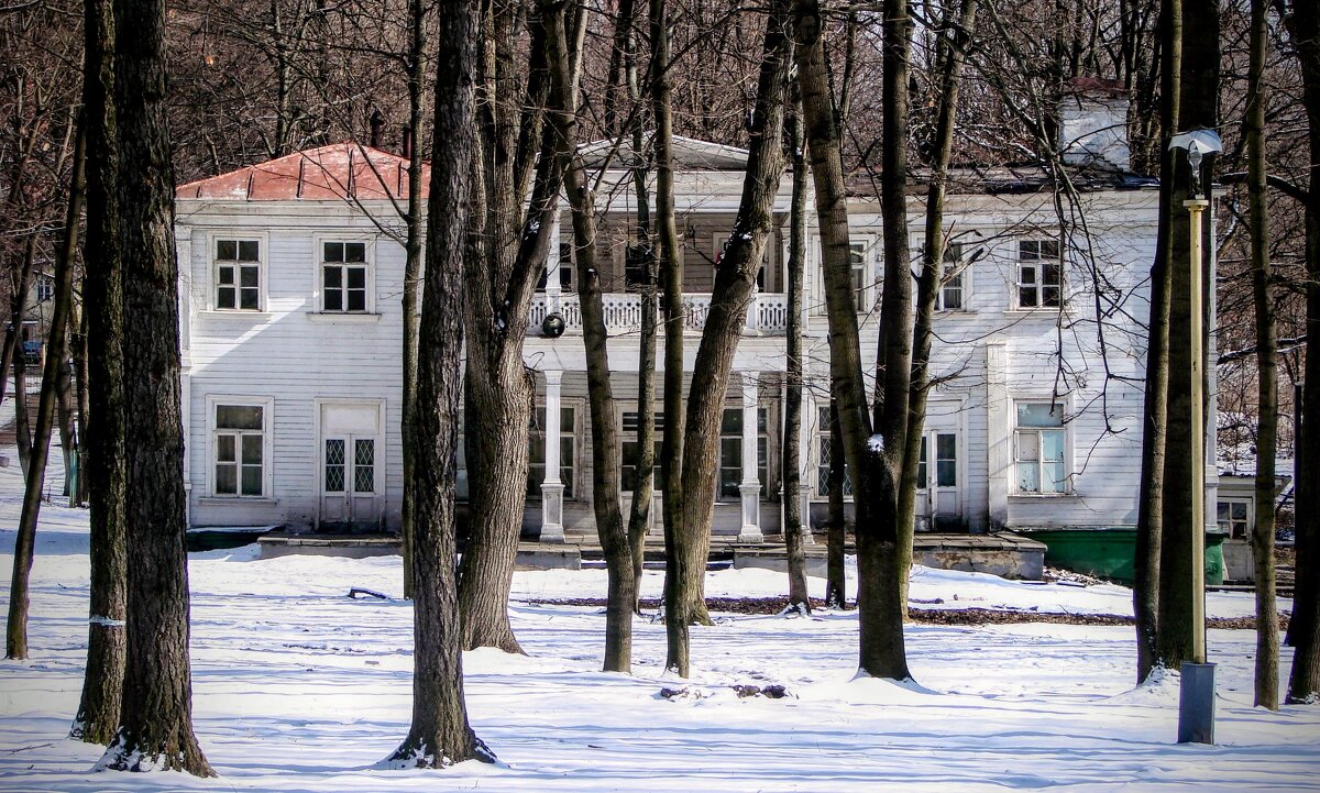 Усадьба Братцево - Анатолий Колосов