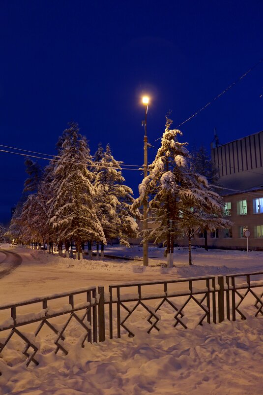 После снегопада - Ольга 