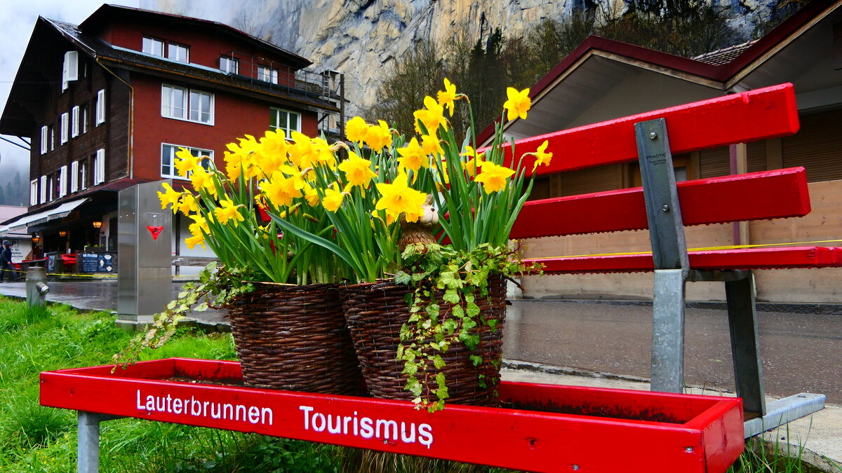 "Lauterbrunnen - Grütschalp" (Mürren). - "The Natural World" Александер