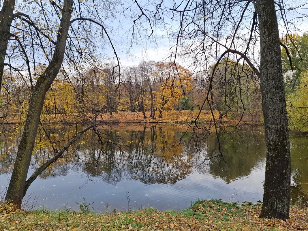 Осень в парке Лефортово - Мария Демина