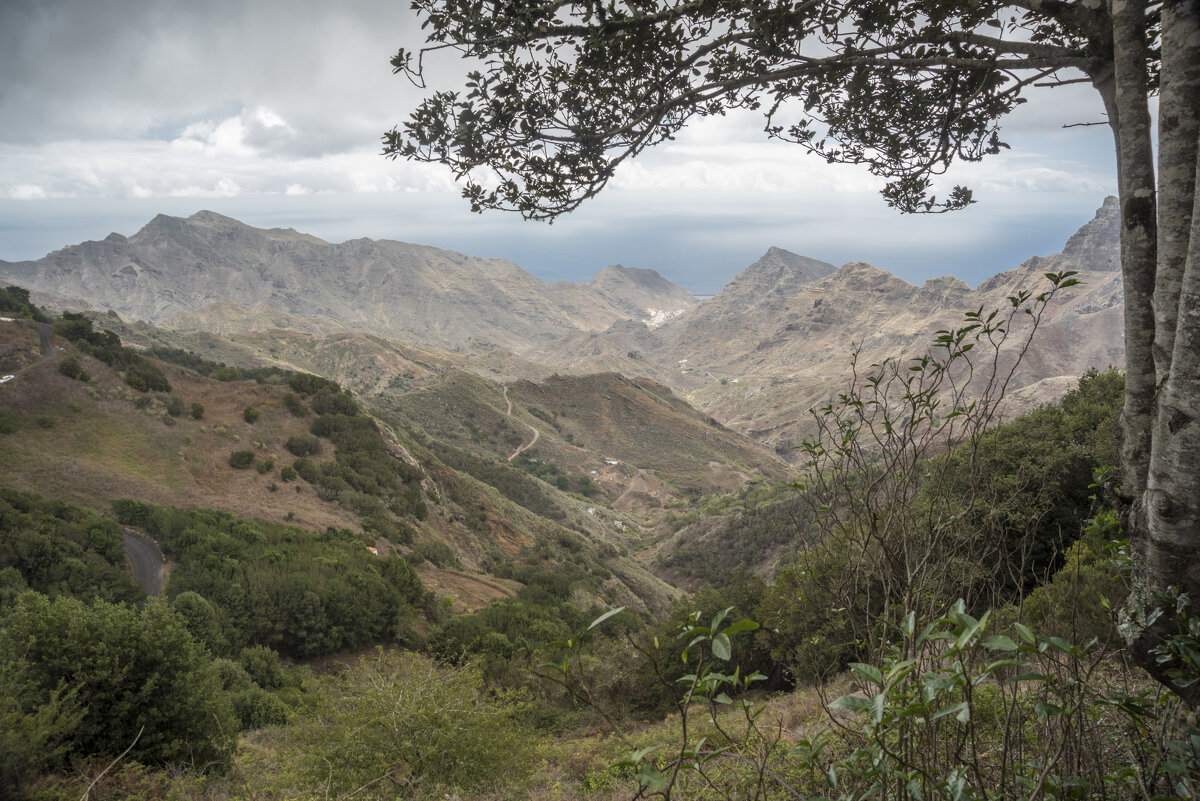 Tenerife - Sergey Oslopov 