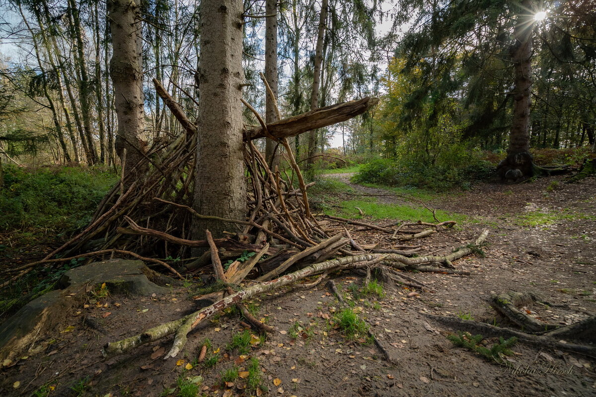 Хворост... - Николай Гирш