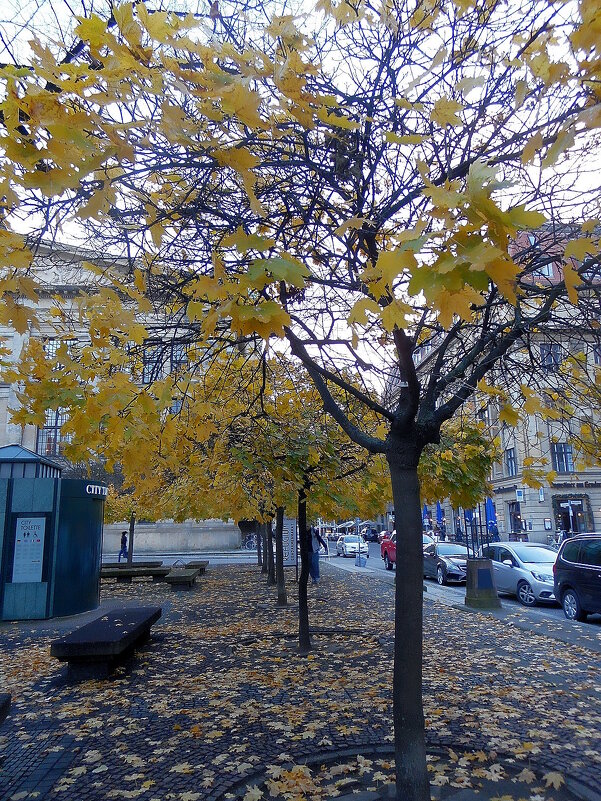 Осень в Берлине. - Ольга Довженко