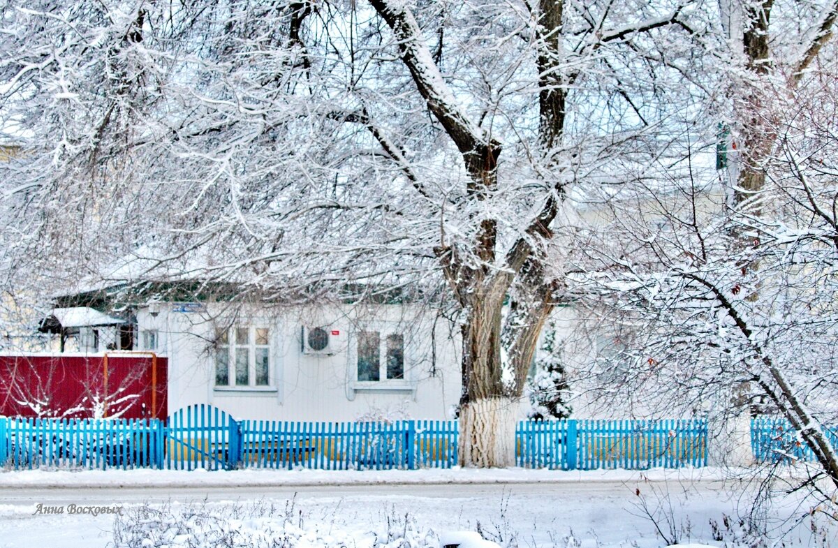 Вот и мы дождались снега! Теперь бы только не растаял до Нового года! - Восковых Анна Васильевна 