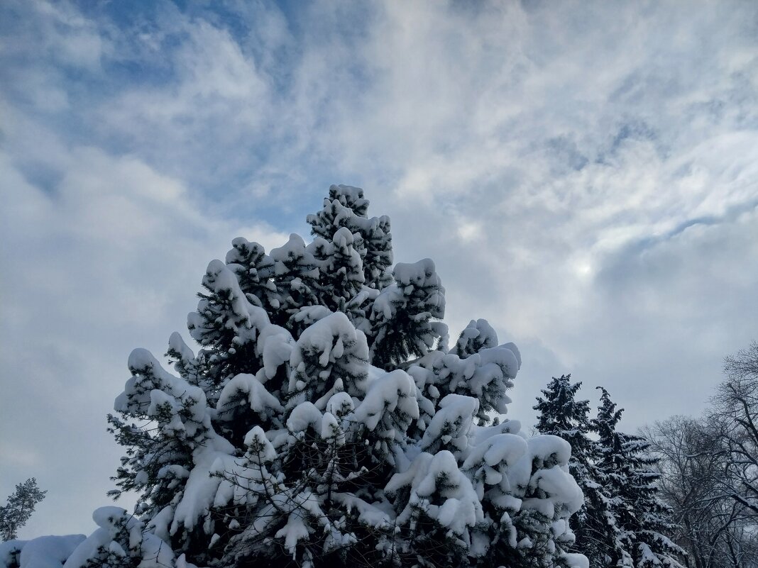 Almaty. - Murat Bukaev 