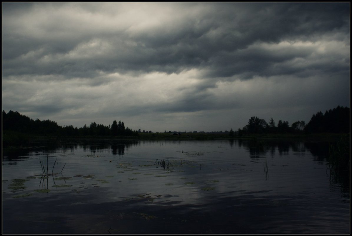 перед грозой - Евгения Стасеня