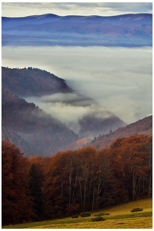 *** - Андрій Кізима