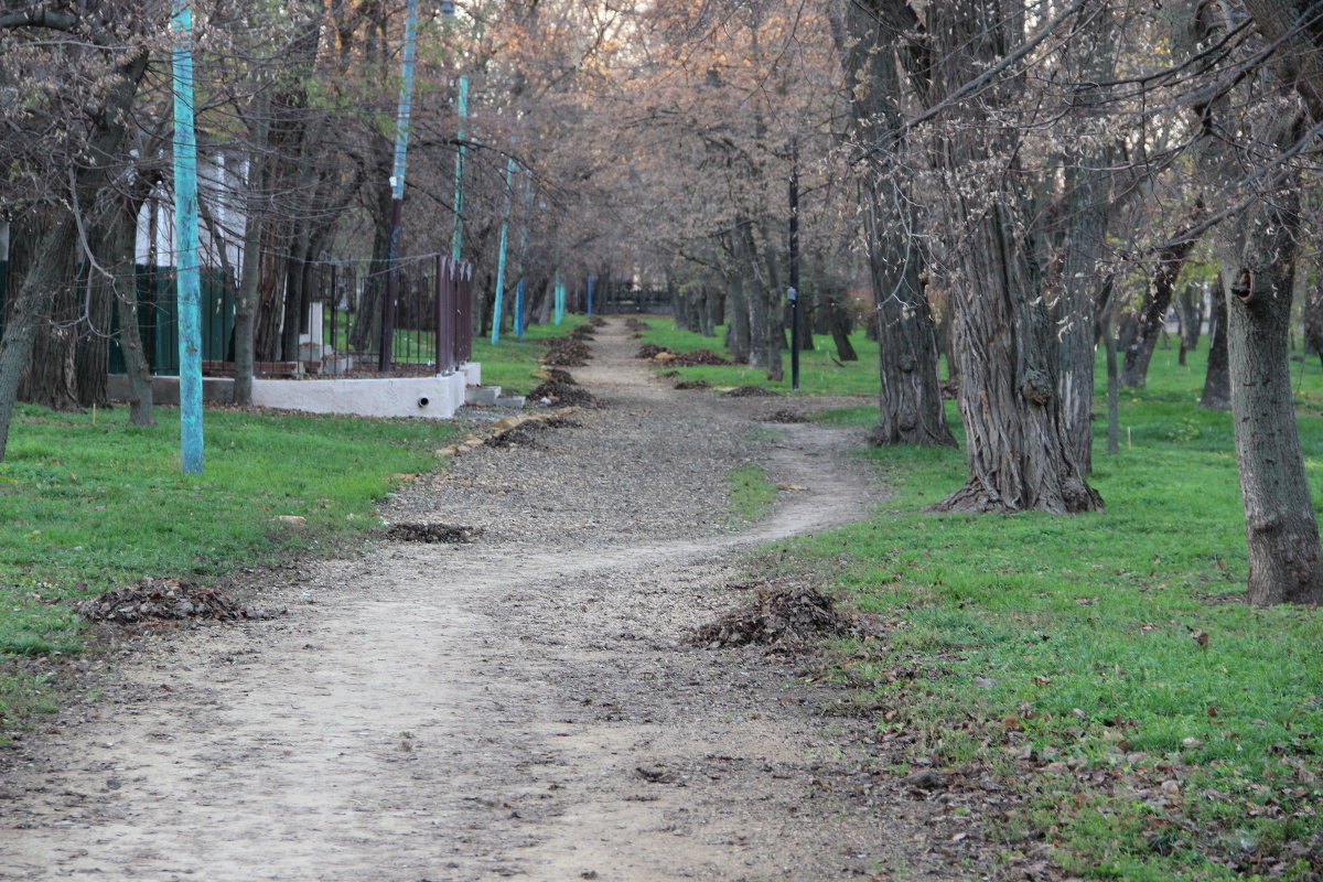 Дорога в никуда - Алёнка 