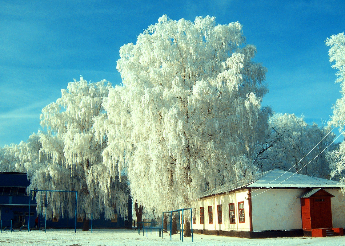 Зима в Нежине, городе, в котором с 1821 по 1828 год жил и учился великий Н. В. Гоголь - Вита Никитка
