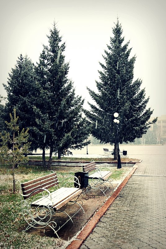 im Park - Elina Bagi