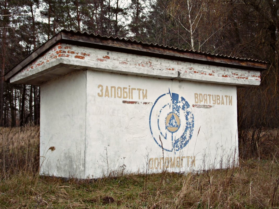 Все станет прошлым непременно... - Виктория Войтович