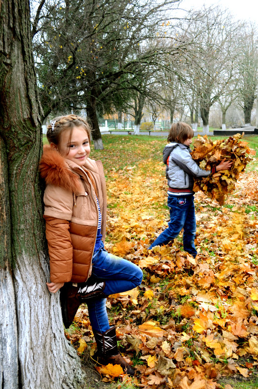 сердце спрятанное в листьях - Алена Шевчук