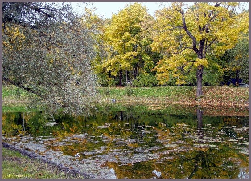 Осенний пруд - vadim 