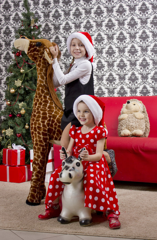 На жирафе и Ослике к Деду Морозу - Светлана Мальцева