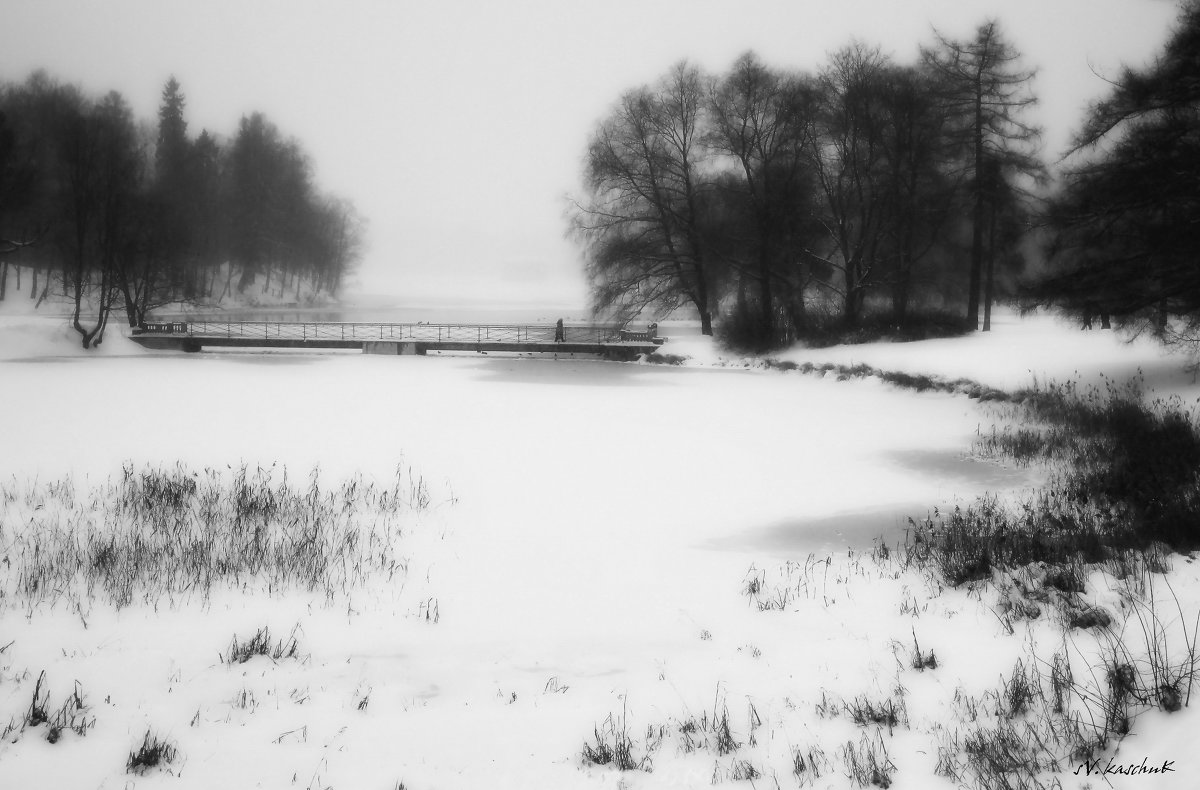 Зимний туман - sv.kaschuk 