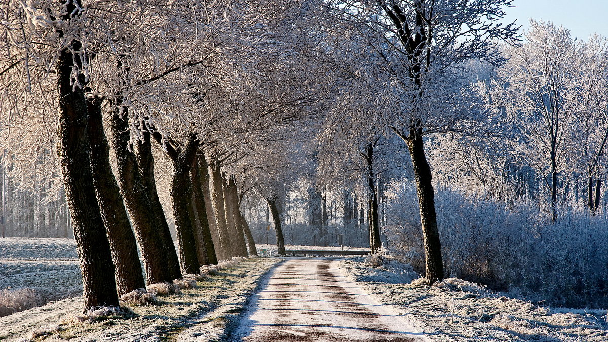 зимняя дорога - Eugene Kratt