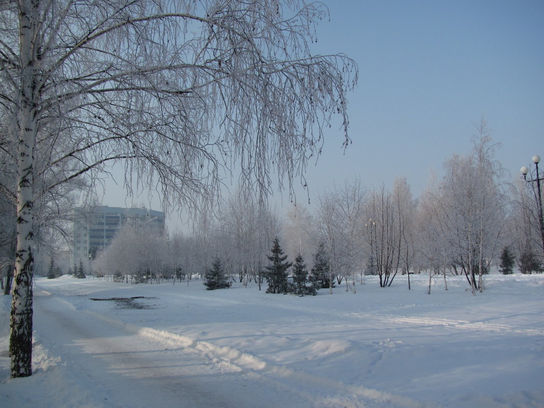В зимнем парке... (декабрь 2012) - Наталья Кочетова 